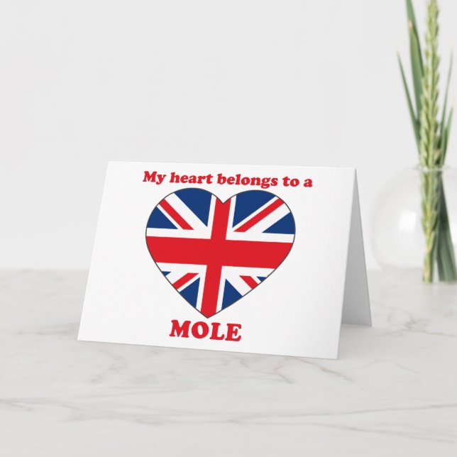Mole Holiday Card (Front)