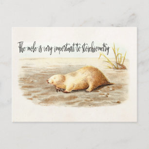 Mole Stoichiometry Chemistry Quote Science Humor Postcard