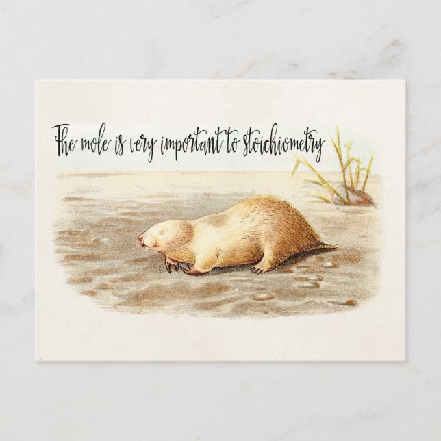 Mole Stoichiometry Chemistry Quote Science Humor Postcard (Front)