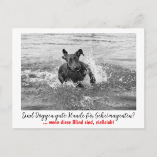 Mole: the dog for secret agents postcard