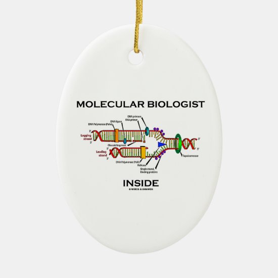 Molecular Biologist Inside (DNA Replication) Ceramic Ornament