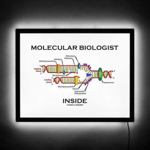 Molecular Biologist Inside DNA Replication  LED Sign