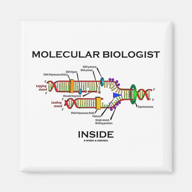 Molecular Biologist Inside (DNA Replication) Magnet (Front)