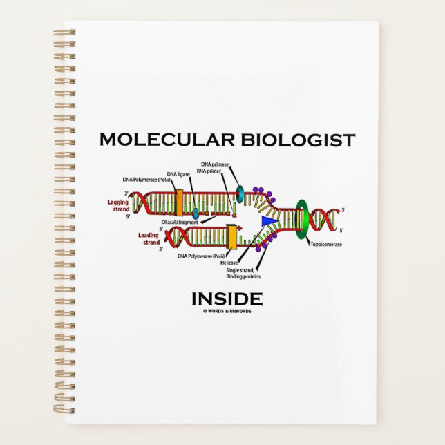 Molecular Biologist Inside DNA Replication  Planner (Front)