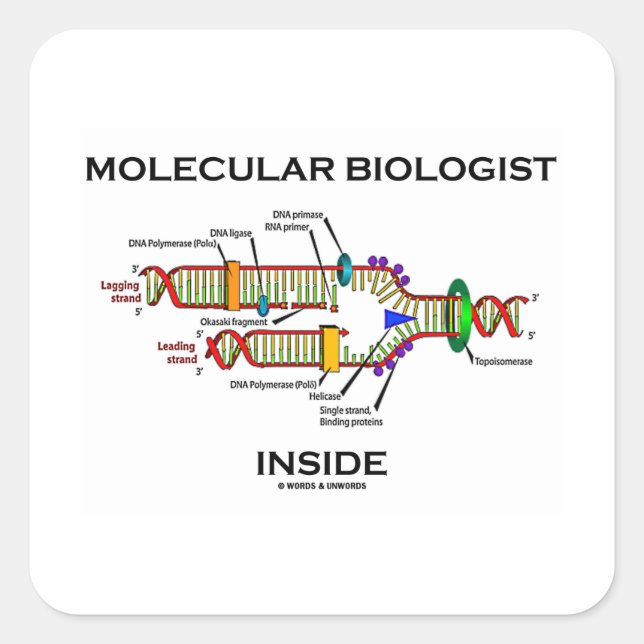 Molecular Biologist Inside (DNA Replication) Square Sticker (Front)