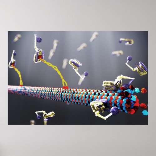 Molecular Machines Poster