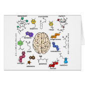 Molecules Galore! (Front Horizontal)