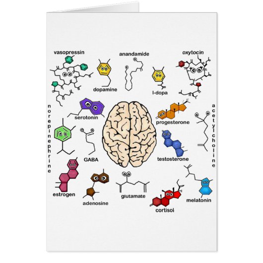 Molecules Galore! Cards (Front)