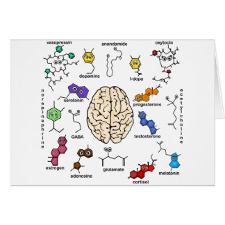 Molecules Galore! Cards