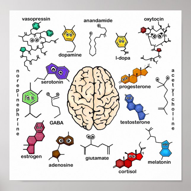 Molecules Galore! Poster (Front)