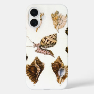 Mollusks and Snails, Vintage Marine Life Organisms iPhone 16 Case