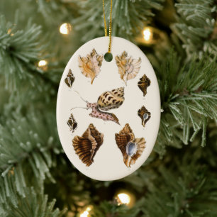 Mollusks and Snails, Vintage Marine Life Organisms Ceramic Ornament