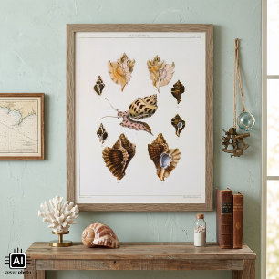 Mollusks and Snails, Vintage Marine Life Organisms Poster