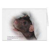 Molly1withsaying (Front Horizontal)