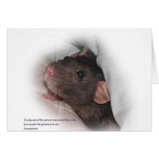 Molly1withsaying Cards (Front Horizontal)