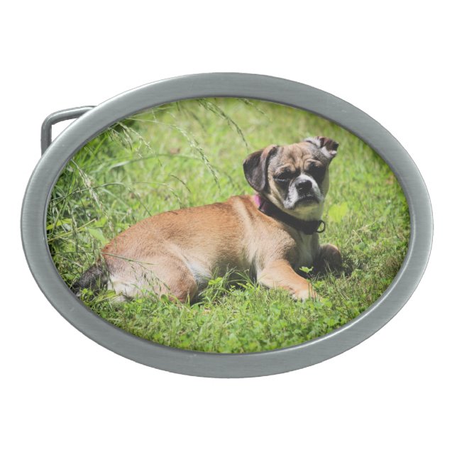 Molly Belt Buckle (Front)