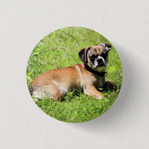 Molly     button