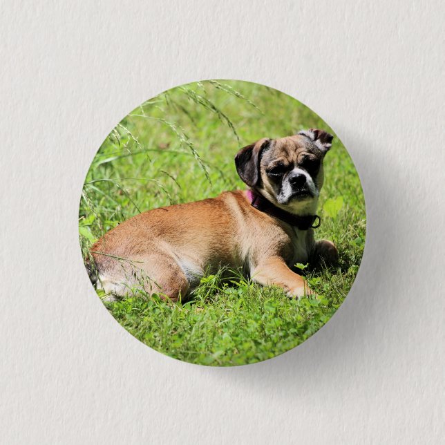 Molly     button (Front)