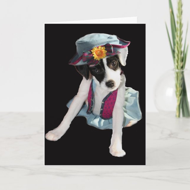 Molly Card (Front)