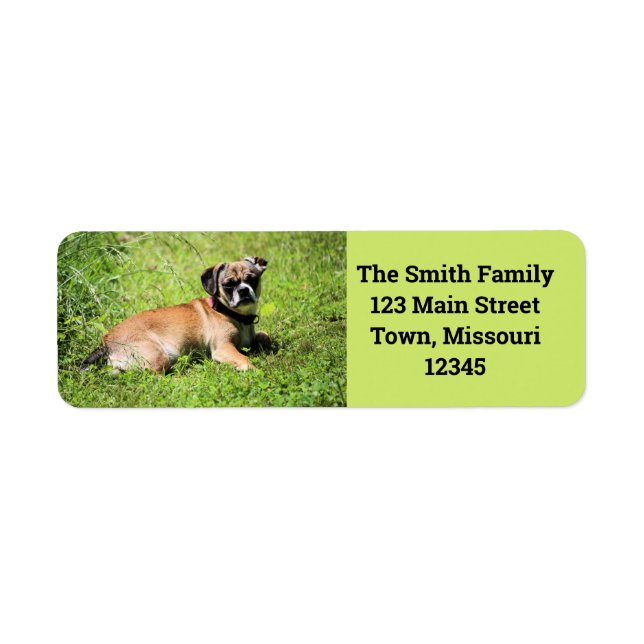 Molly Label (Front)