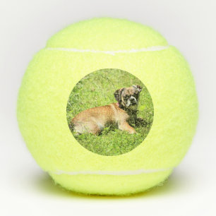 Molly Tennis Balls