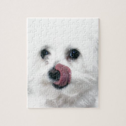 Molly the Maltese Jigsaw Puzzle