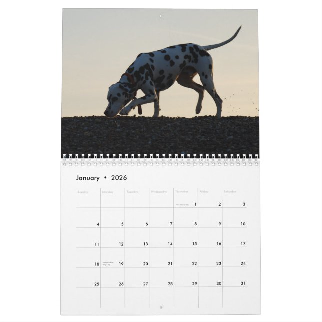 molo 2010 calendar (Jan 2026)