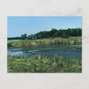 Molochnaya river near Melitopol.  South Ukraine Postcard