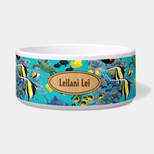 Molokini Cove Hawaiian Tropical Fish Sea Turtle Bowl