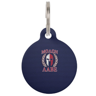 Molon Labe Spartan Warrior Carbon Fiber Chrome Pet ID Tag