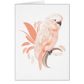 Moluccan Cockatoo (Front)