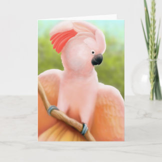 Moluccan Cockatoo Greeting Card