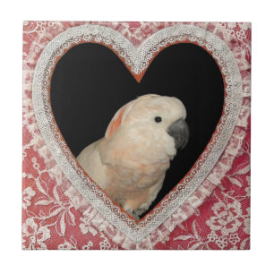 Moluccan Cockatoo Love Valentine Design Tile