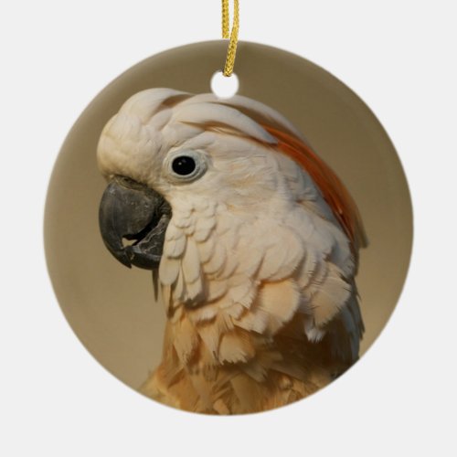 Moluccan Cockatoo Ornament