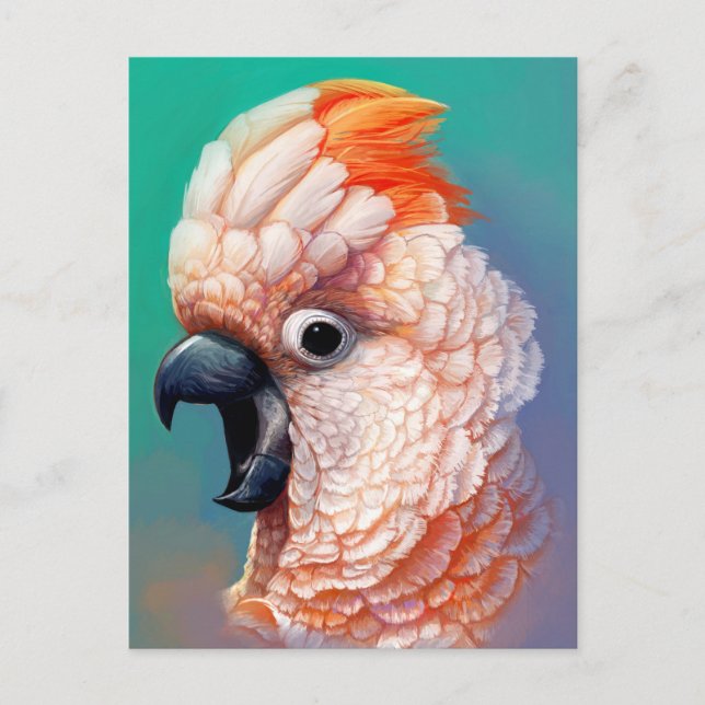 Moluccan Cockatoo realistic painting Postcard (Front)