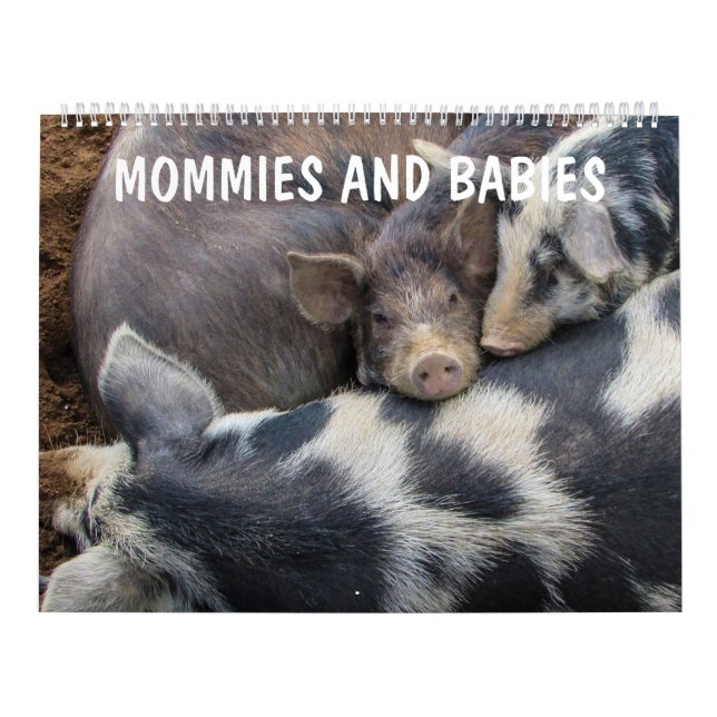 Mom and Baby Animals Calendar (Cover)