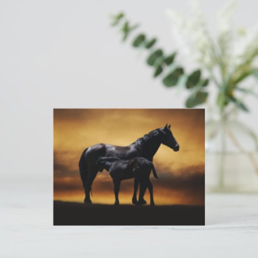 Mom and Baby colt (Standing Front)