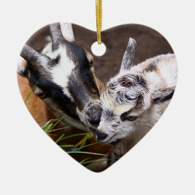 Mom and Baby Goat Ceramic Ornament (Front)