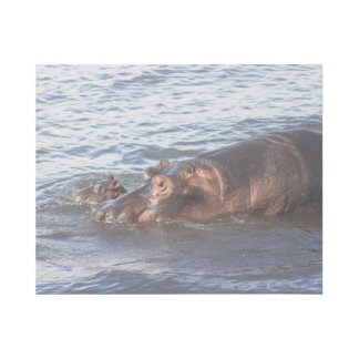 Mom and Baby Hippo Gallery Wrap