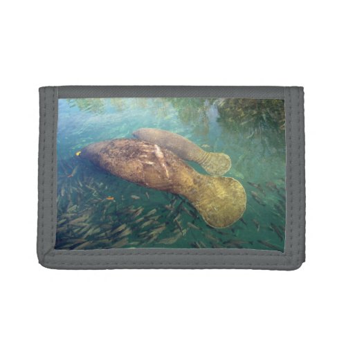 Mom and Baby Manatee  Tri_Fold Wallet