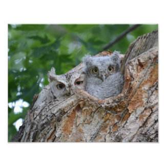 Mom and Baby Photo Print