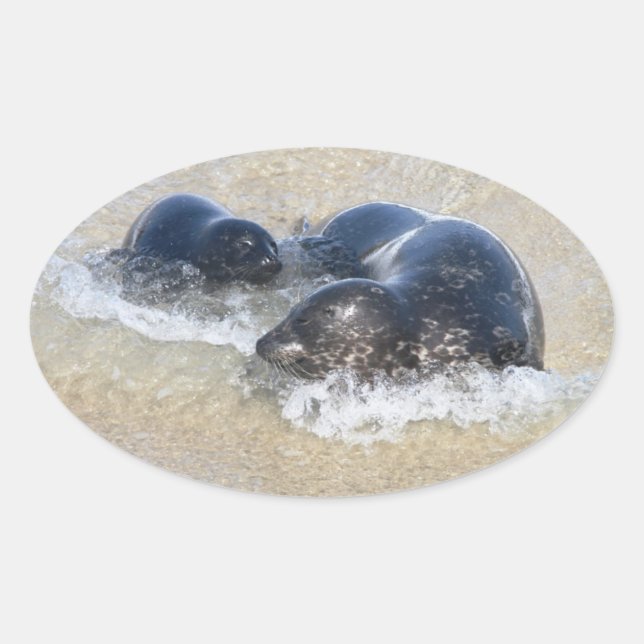 Mom and baby seal (Front)