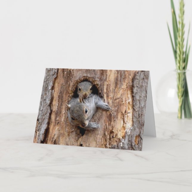 Mom and Baby Squirrel - Nature Greeting Card (Front)