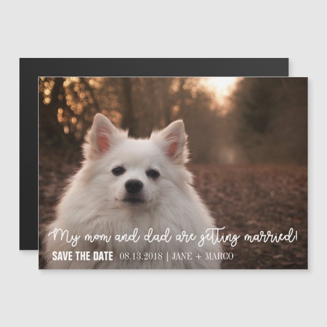 Mom And Dad Are Getting Married Pet Save The Date Magnetic Invitation (Front/Back)