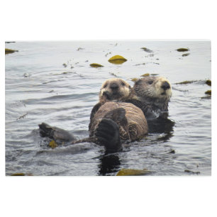 Mom and Pup Sea Otter Metal Print