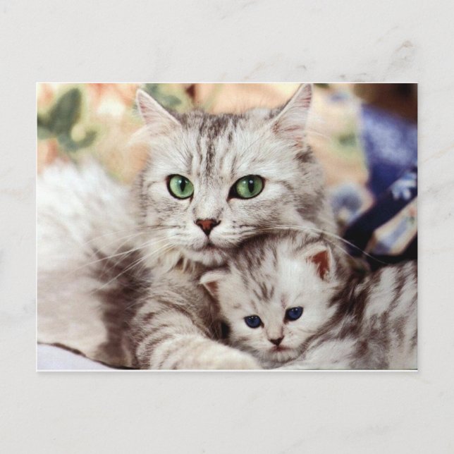 Mom and Son Postcard (Front)