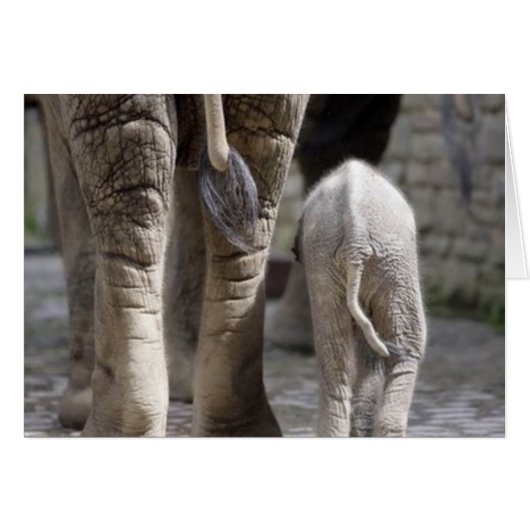 Mom & Baby (Front Horizontal)