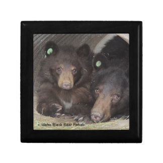 Mom & cub 2013 Giftbox Gift Box