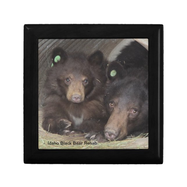Mom & cub 2013 Giftbox Gift Box (Front)