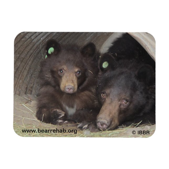 Mom & cub 2013 Premium Flexi Magnet (Horizontal)